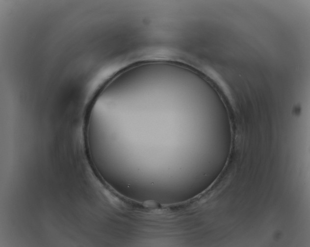 X0000094181464200711241542