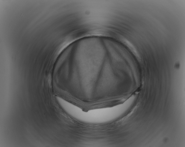 X0000094181465200711241542