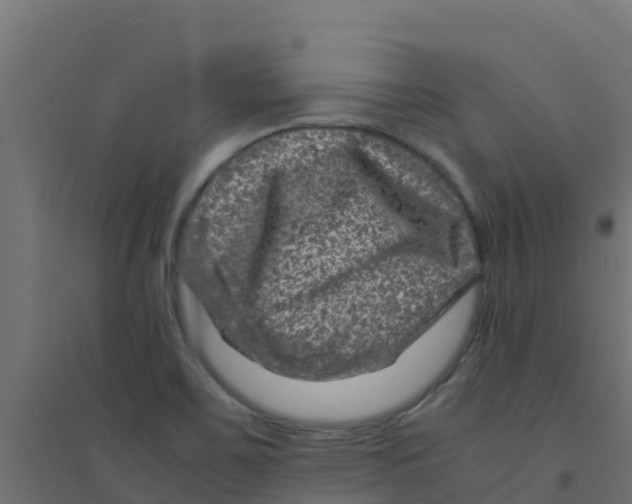 X0000094181467200711241542
