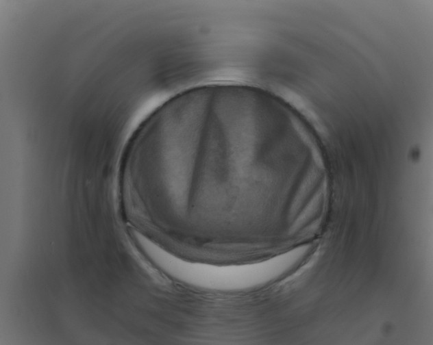 X0000094181469200711241542