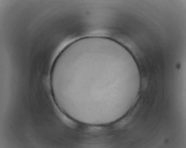 X0000094181470200711241542