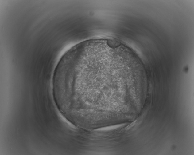 X0000094181471200711241542