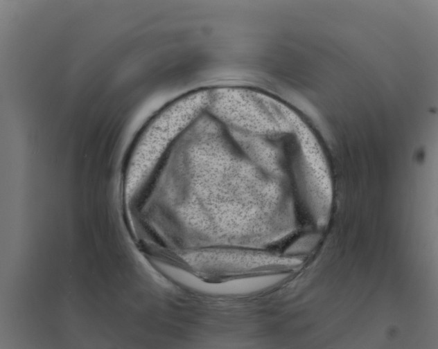 X0000094181472200711241542