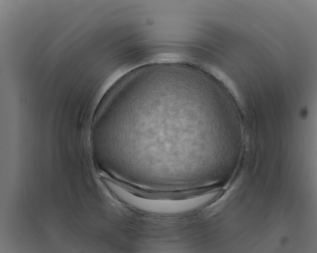 X0000094181473200711241542