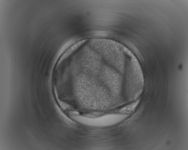 X0000094181475200711241542