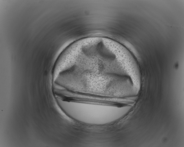 X0000094181476200711241541