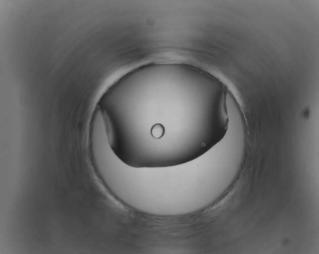 X0000094181477200711241541