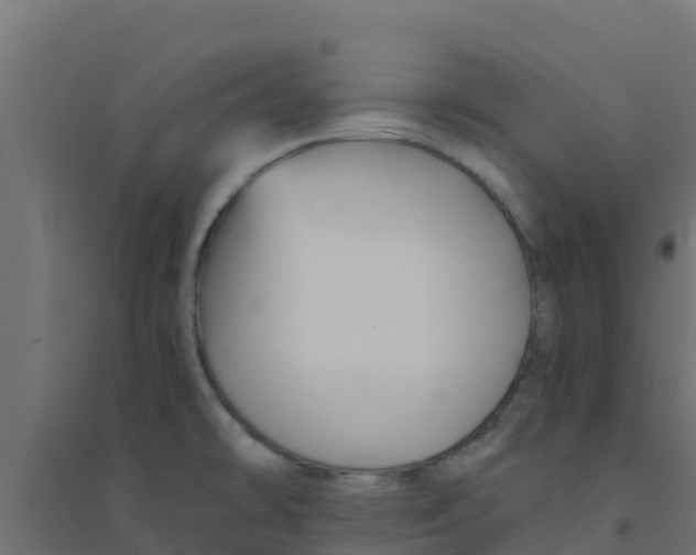 X0000094181478200711241541