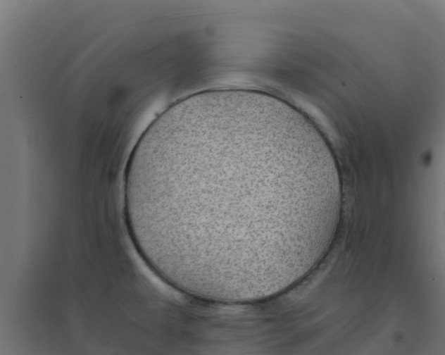 X0000094181479200711241541