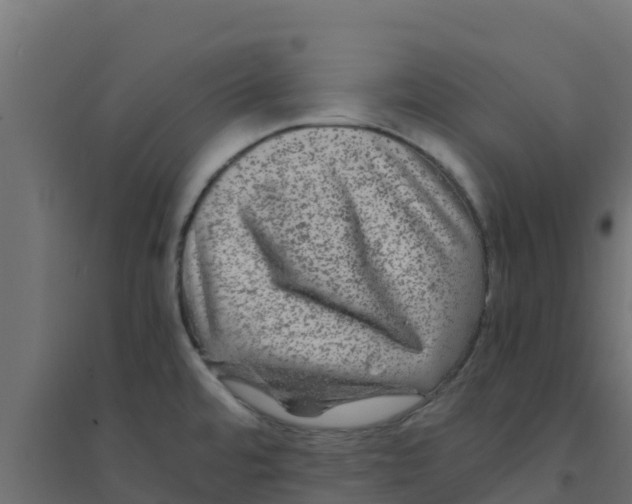 X0000094181480200711241541