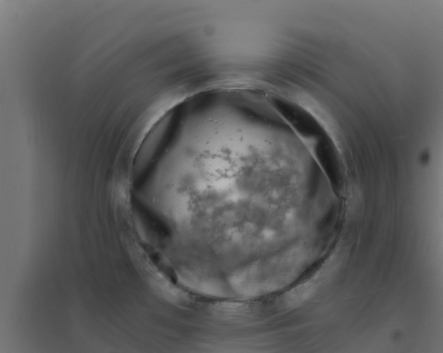 X0000094181481200711241541