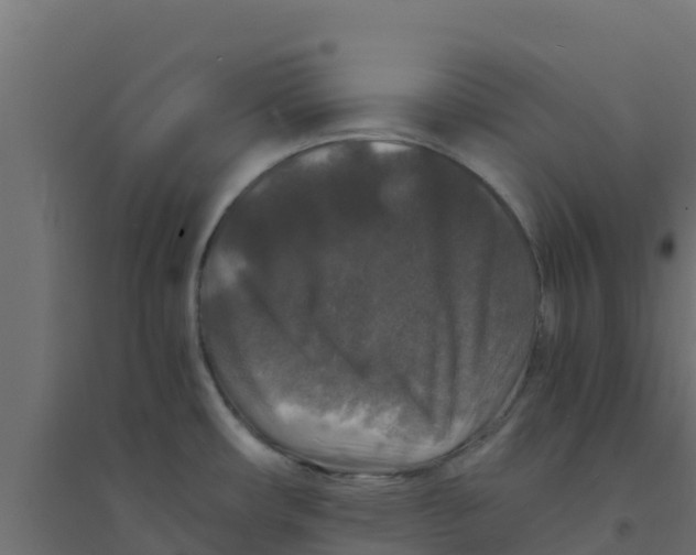 X0000094181482200711241541