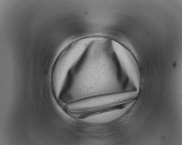 X0000094181483200711241541