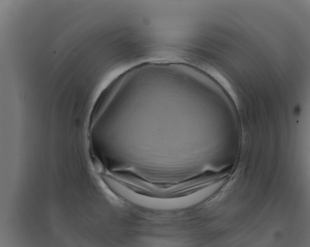 X0000094181485200711241541