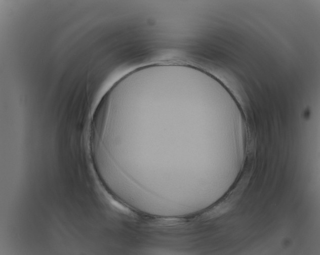 X0000094181486200711241541