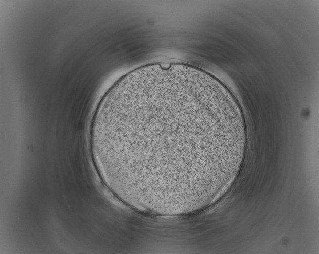 X0000094181488200711241541
