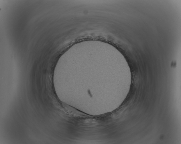 X0000094181489200711241540