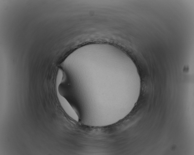 X0000094181490200711241541