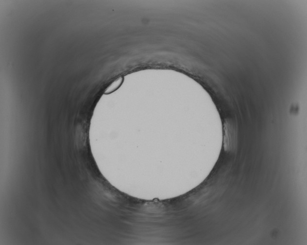 X0000094181491200711241541