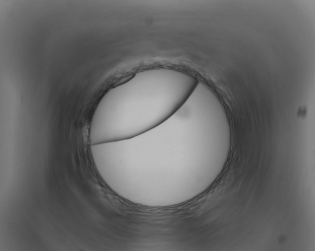 X0000094181492200711241541