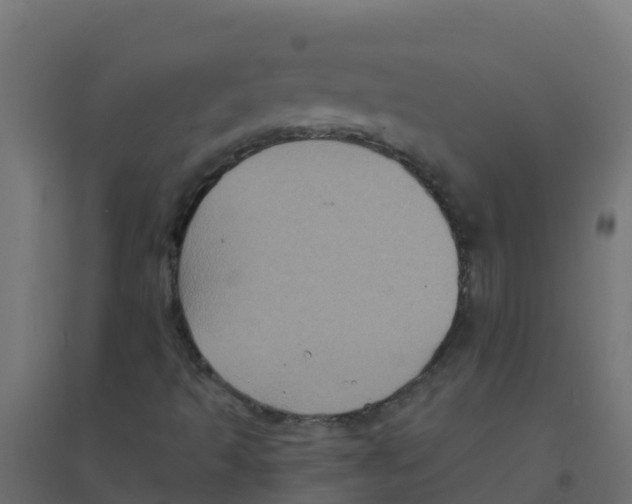 X0000094181493200711241541