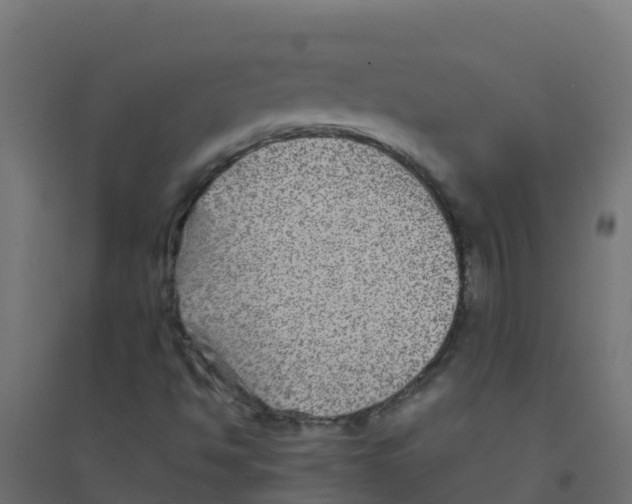 X0000094181494200711241541