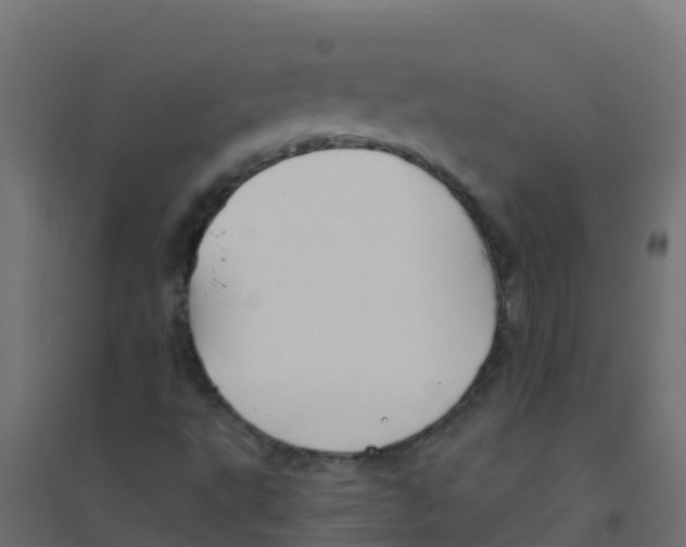 X0000094181495200711241541