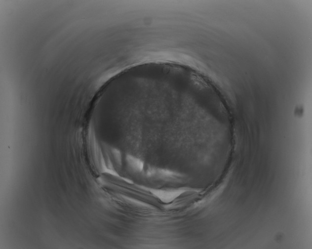 X0000094181497200711241541