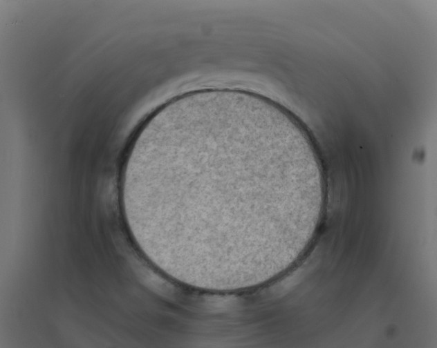 X0000094181498200711241541