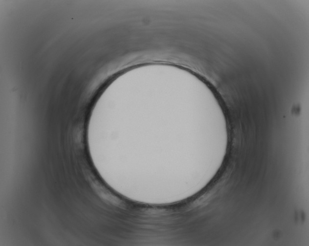 X0000094181499200711241541