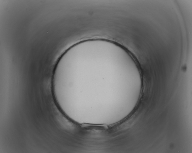 X0000094181500200711241541