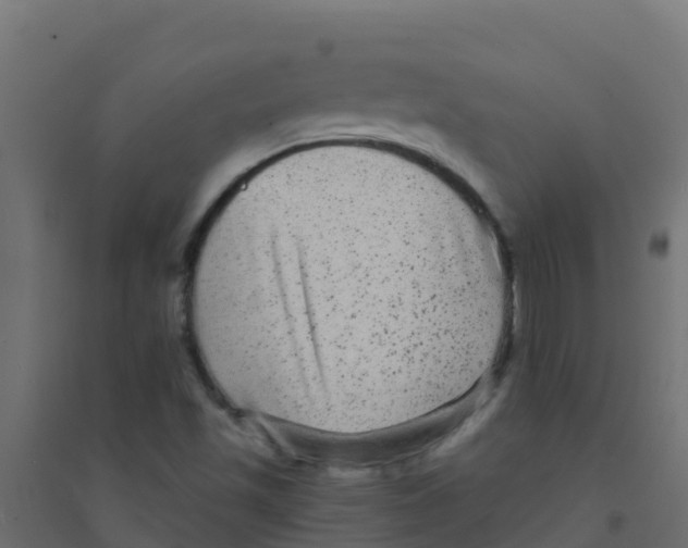 X0000094181501200711241541