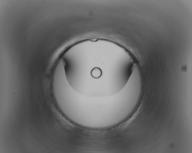X0000094181502200711241541