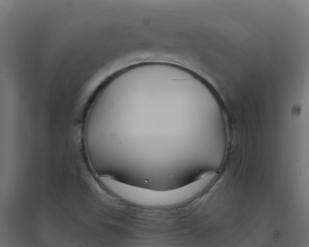 X0000094181503200711241541