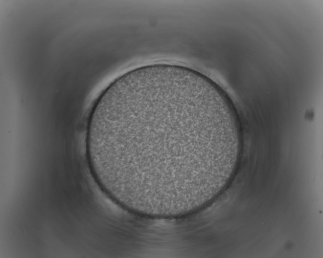X0000094181504200711241541