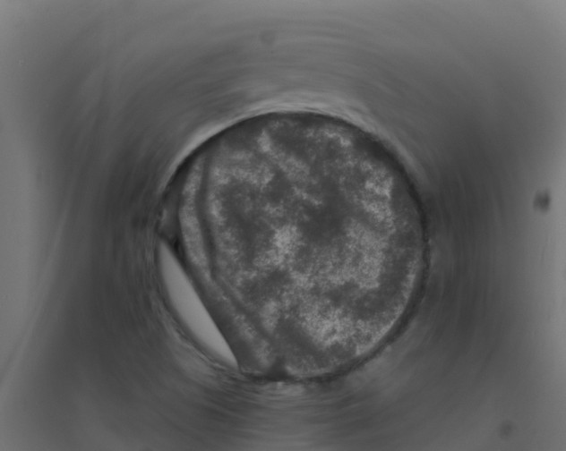 X0000094181505200711241541