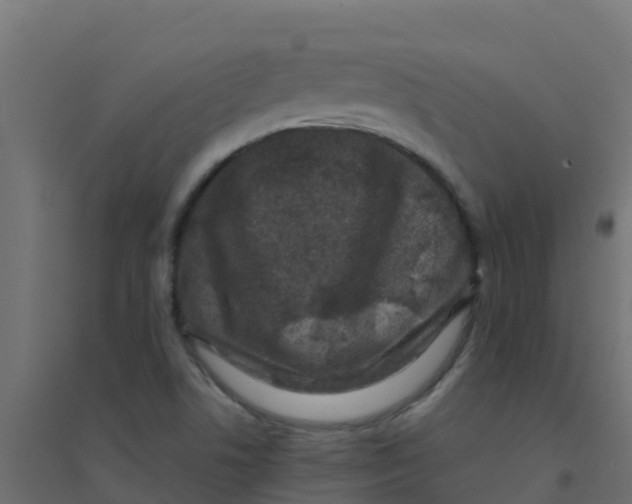 X0000094181506200711241541