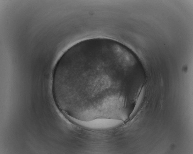 X0000094181508200711241541