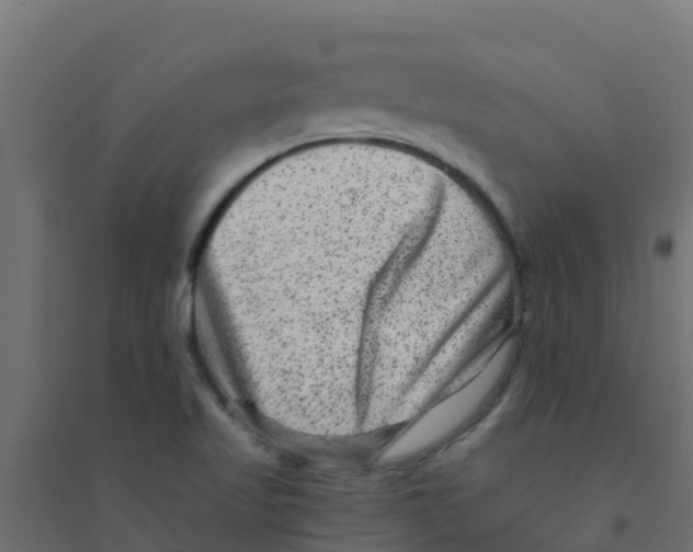 X0000094181509200711241541