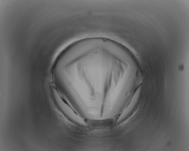 X0000094181510200711241541