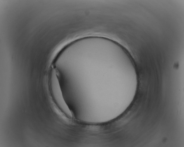 X0000094181511200711241541