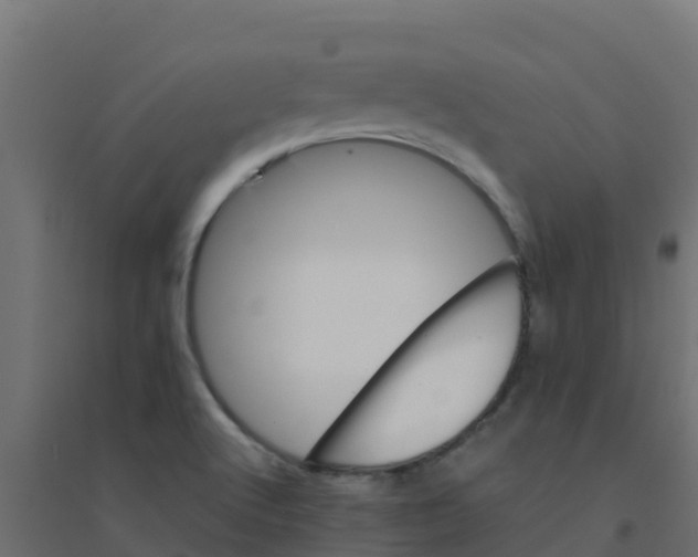X0000094181512200711241541