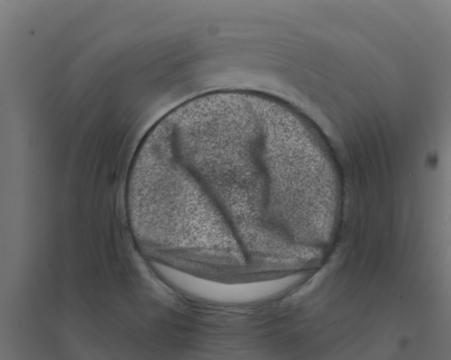 X0000094181513200711241541