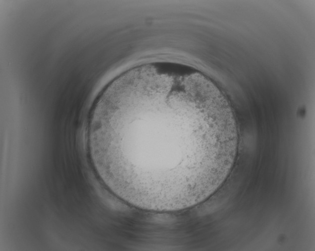 X0000094181514200711241541