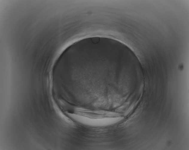 X0000094181515200711241541