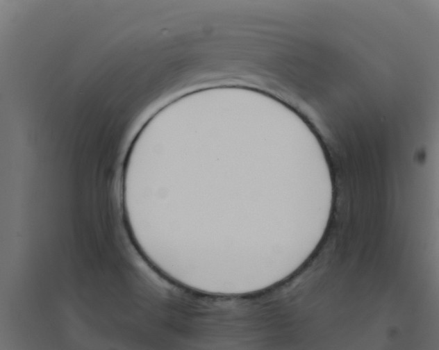 X0000094181516200711241541
