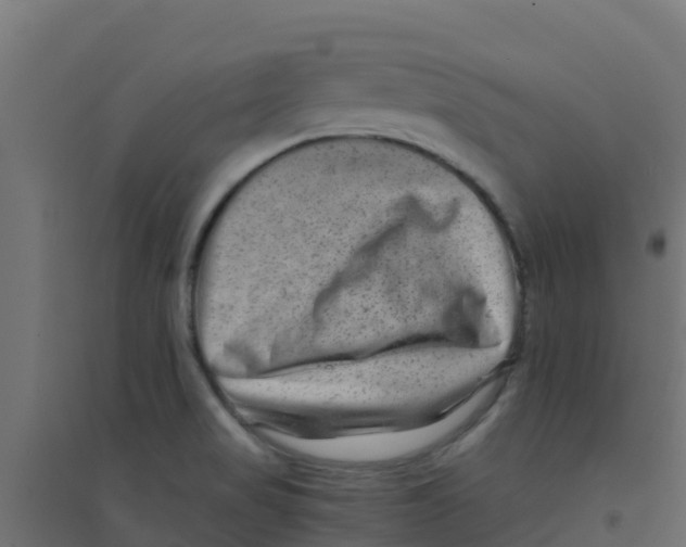 X0000094181517200711241541