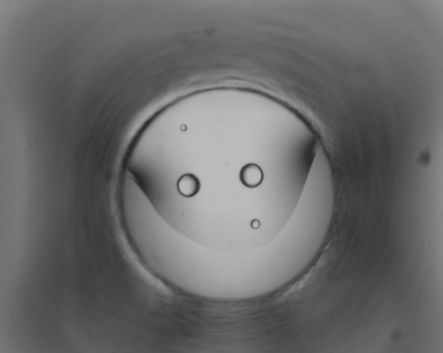 X0000094181518200711241541