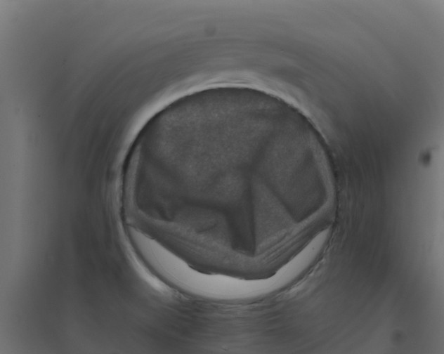 X0000094181519200711241541