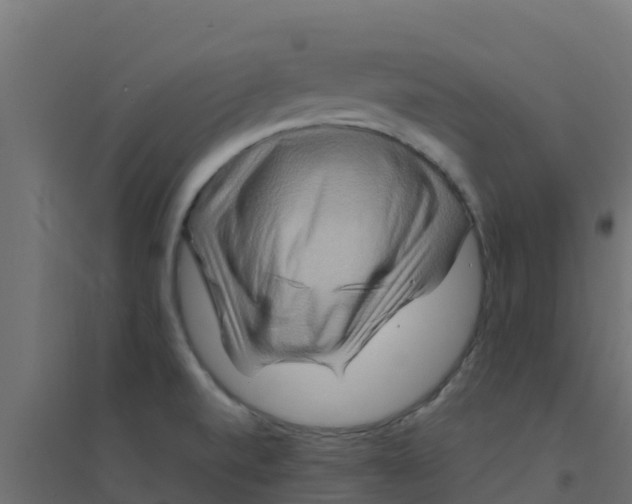 X0000094181520200711241541